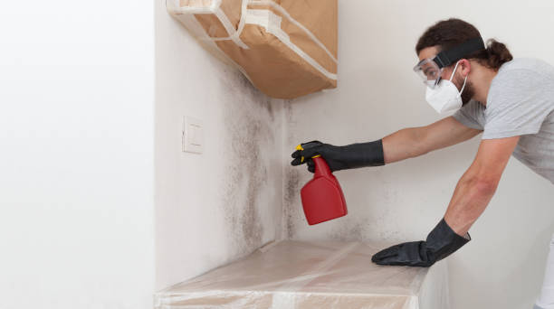 Professional Crawl Space Mold Remediation technician working in Pitman, NJ
