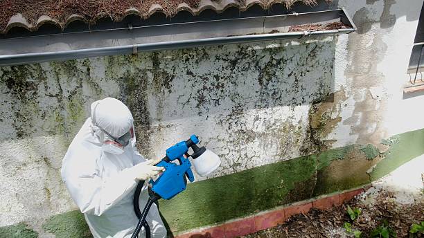Top rated local Crawl Space Mold Remediation specialists in Pitman, NJ